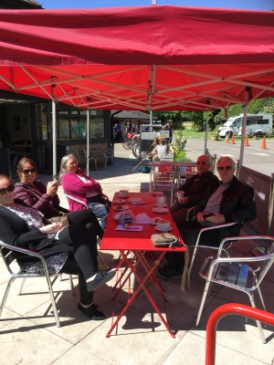 Carers and Learning Disability week - free events and activities!